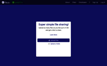 System.IO File Info 的图像结果