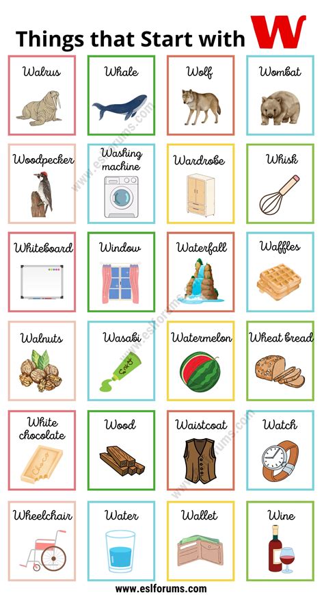 120 Interesting Things that Start with W | W Things for Kids - ESL Forums