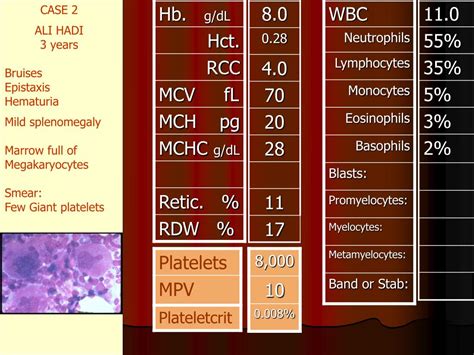 Image result for Normal Blood Segmenter Values
