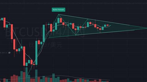 BTC Tutorial 的图像结果