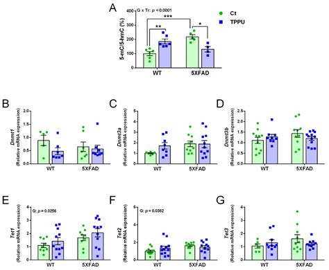 Neuroprotective Epigenetic Changes Induced by Maternal Treatment with ...