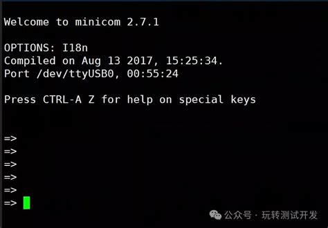 Pyserial Python 的图像结果