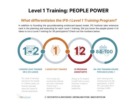 IFS Level 1 Professional Training | IFS Institute