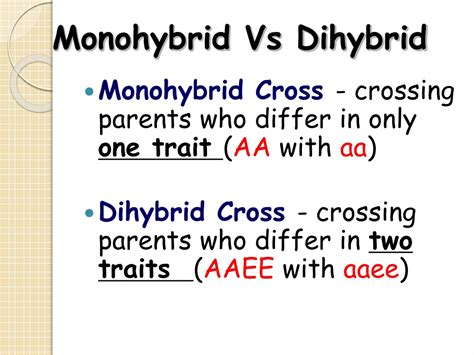 PPT - Mendel ’ s Laws of Heredity PowerPoint Presentation, free ...
