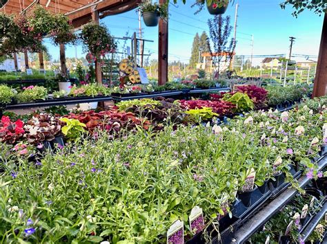 Kent East Hill Nursery - Visit Kent