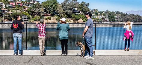 South Dam Visitors—1 — Silver Lake Reservoirs Conservancy