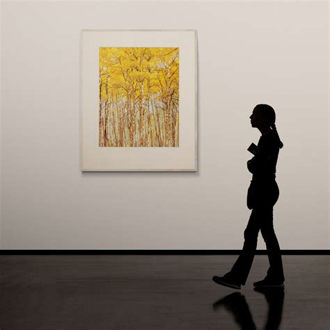 Christopher Burkett | Bright Sunny Aspens - Photography West