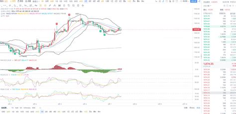 4.7 White market market analysis The early market situation | 竹亦卿 on ...
