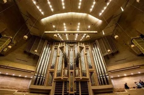 Image result for Types of Organs Instrument