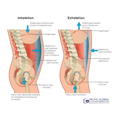 How Do I Know If I Have a Tight Pelvic Floor? | drmaehughes.com