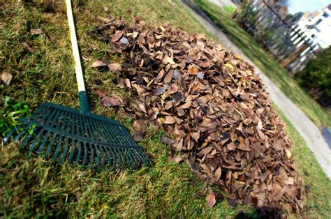 Image result for Yard Waste Only