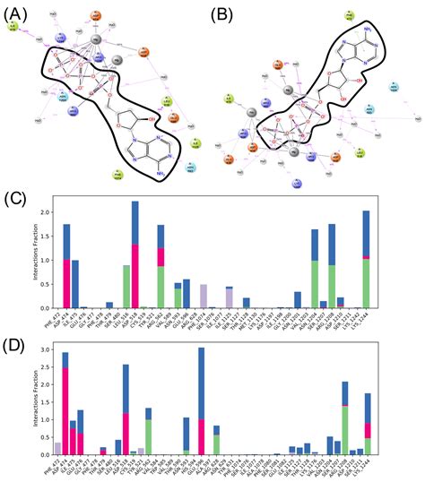 Cordycepin Triphosphate as a Potential Modulator of Cellular Plasticity ...