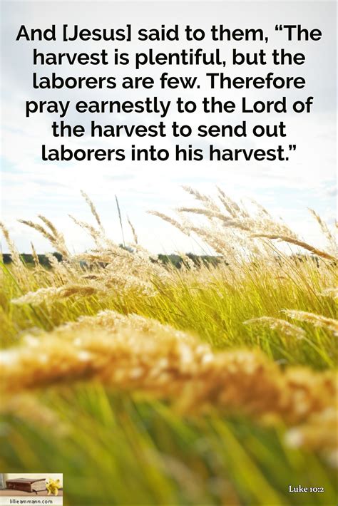 And [Jesus] said to them, “The harvest is plentiful, but the laborers ...