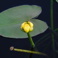 FLAMINGO (2026) All You Need to Know BEFORE You Go (with Photos ...