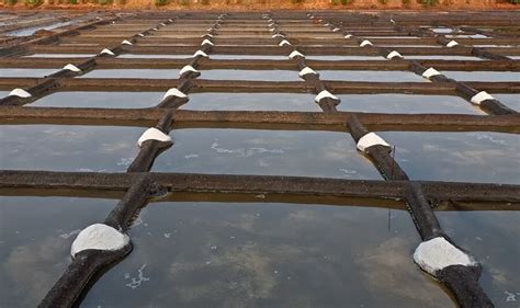 Salt pans in Goa, know the history of Goa's salt-making traditions.