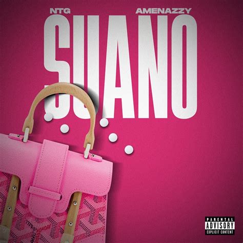 Meaning of NTG & Amenazzy - Suano | TuneInsights