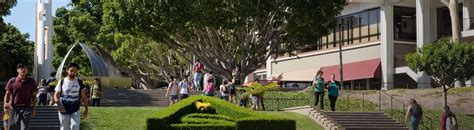 Image result for How to Apply to CSULB