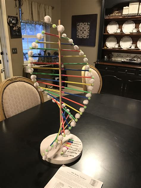 Dna Model Project Styrofoam Balls