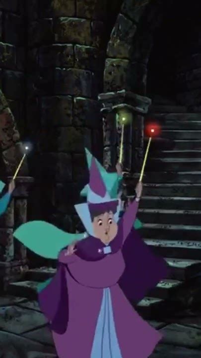 Image result for Video D Insecte