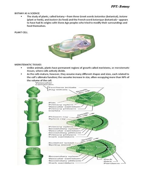 Botany 的图像结果