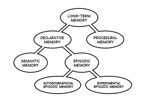 Image result for Human Memory and Computer Memory