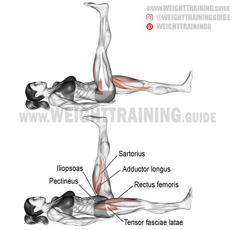 Image result for Contralateral Leg Raise