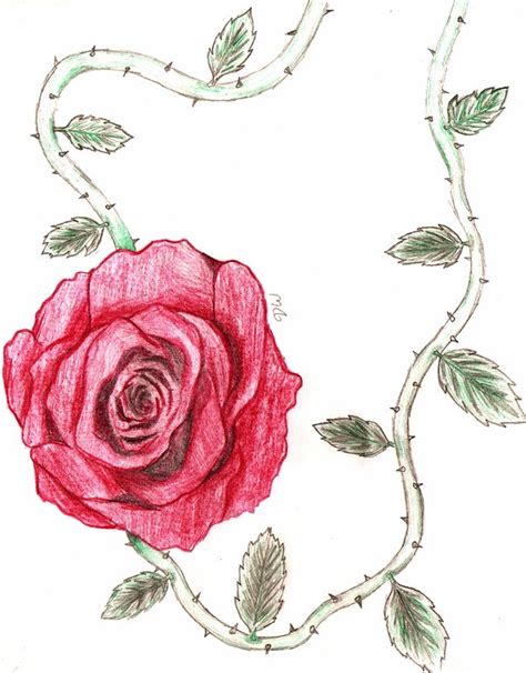 Rose Vine Drawing - ClipArt Best