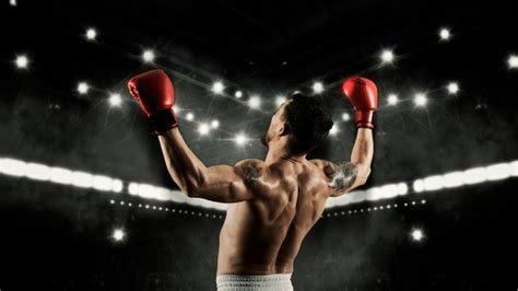 Winner Set Boxing Set 的图像结果