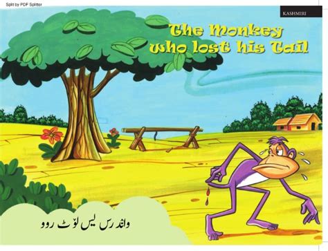 وانٛدرس یس لوٚٹ روو | NLCLMB - CIIL | The world of Stories