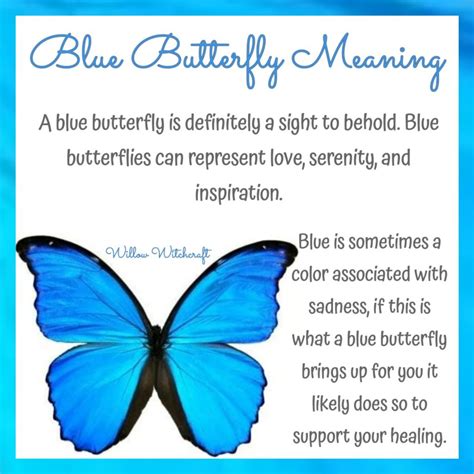Unveiling the Enchanted Symbolism of Butterflies in Hopi Culture