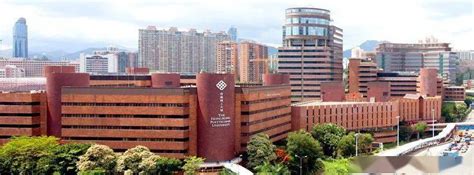 香港理工大学2021年本科课程 现已接受报名 欢迎参加线上招生说明会-新闻频道-和讯网
