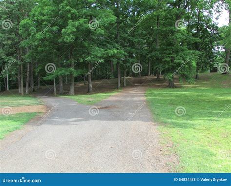 Trees and Roads at Roosevelt Park in Edison, NJ, USA. Ð“. Stock Image ...