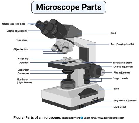 Lab Microscope 的图像结果