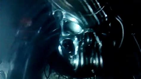 Image result for Alien vs Predator Fight