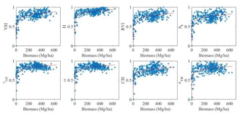 Tropical PeatLand Forest Biomass Estimation Using Polarimetric ...