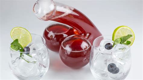 Phallological Museum in Iceland | Penis Museum in Iceland