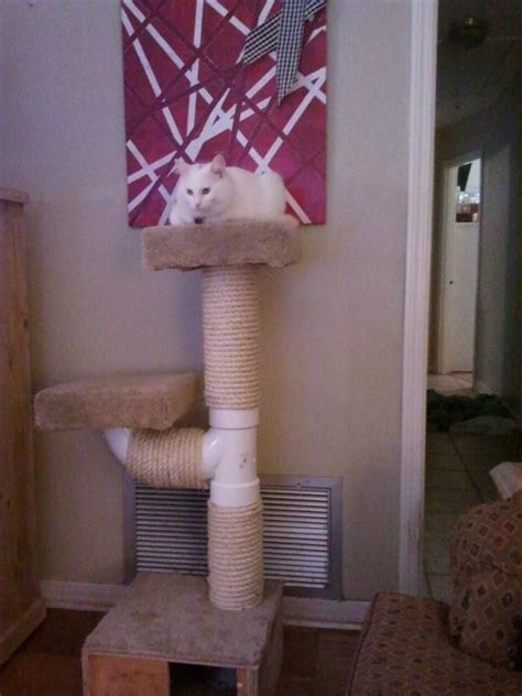 PVC Cat Tree 的图像结果