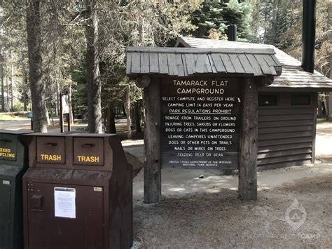 Tamarack Flat Campground, Yosemite National Park, CA - Latest Reviews ...