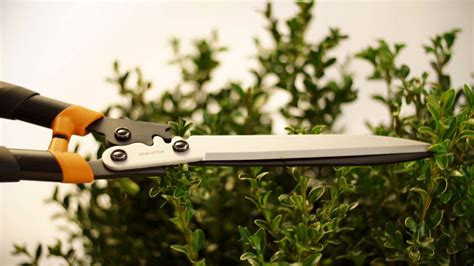 Best Selling Hedge Pruning Shears – Reviews… – Eco Snippets