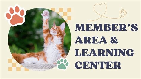 Maine Coon Size Chart: Kitten Growth, Weight & Milestones