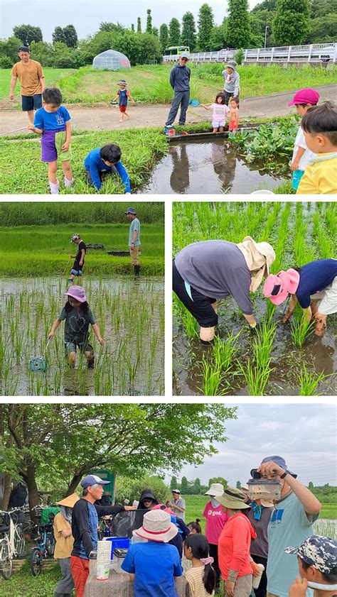 Image result for Boolean Expression Programming
