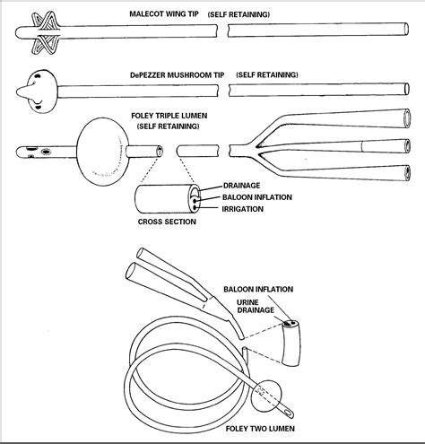 Lesson 3. Catheterization of the Male and Female Patient - Nursing ...
