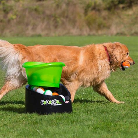 Go Dog Go Fetch Machine 的图像结果