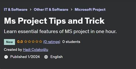 MS Project Tips 的图像结果