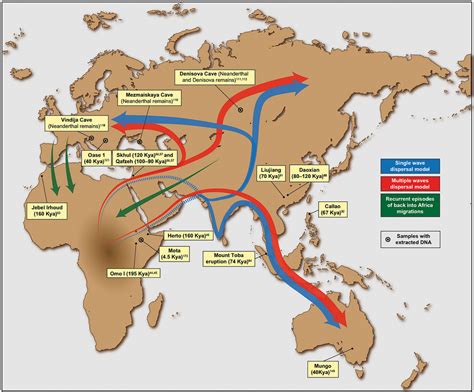 Human Evolution Migration Map 的图像结果