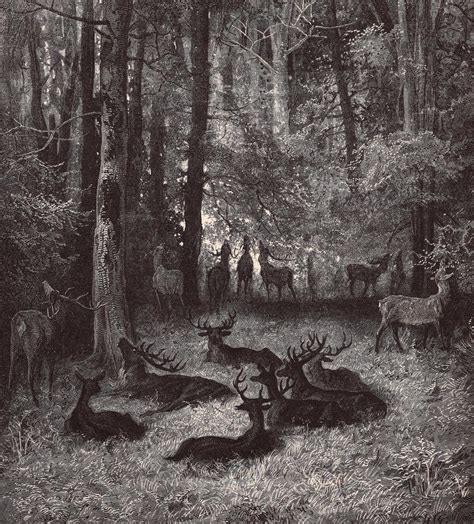 Gustave Doré: "the Sick Stag" Vintage Engraving - Fables of La Fontaine ...