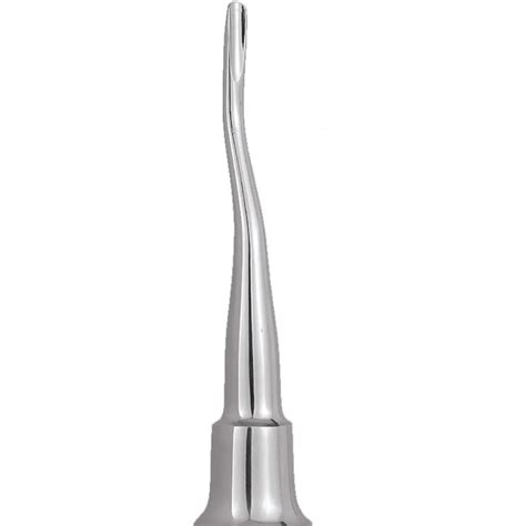 Buy GDC Root Elevators Apexo Standard (E302) – Oralkart