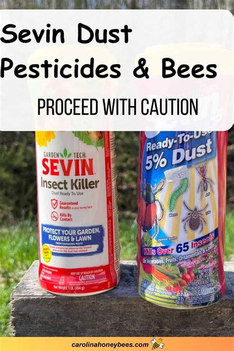 Image result for Using Sevin Dust