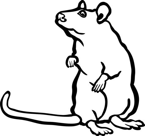 Mouse Clip Art Black And White