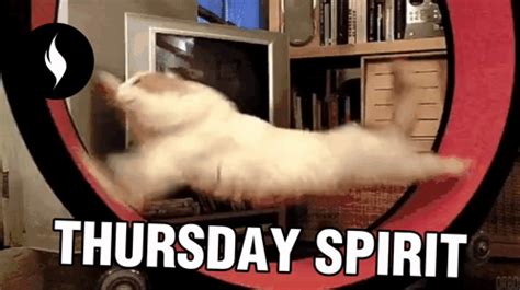 Thursday Work GIF - Thursday Work Hardwork - Discover & Share GIFs